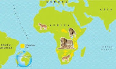 Which is the best place to live in Africa