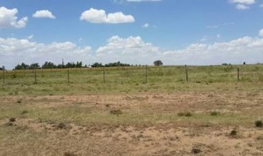 How to Make Good Use of Your “Idle” Land