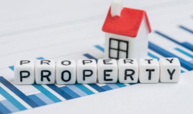 How Well do You Understand Real Estate Property With Trees?