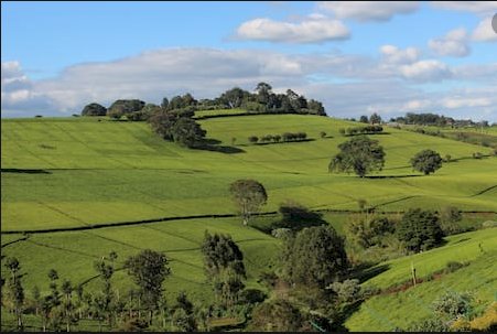Miraculous Airbnb in Limuru