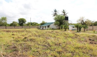 Step by Step Guide on Land Ownership Process in Kenya