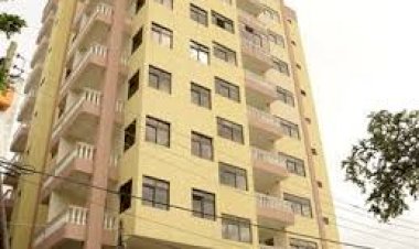 Why Some Rental Apartments Do not Allow Pets