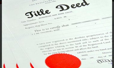How to Replace a  Lost Land Title Deed in Kenya