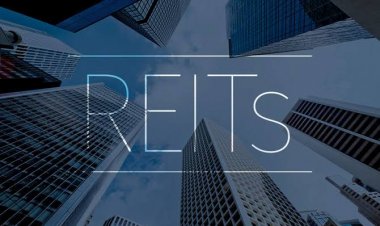 All You Need To Know About REITs