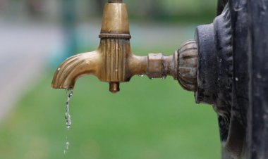 Basic Tips: 5 Ways to Prevent Expensive Plumbing Issues