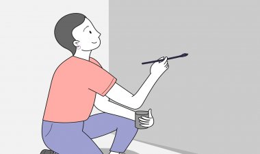 Types of Paint Colours in Homes