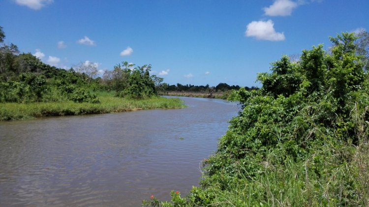 Wananchi Waonywa Kuhatarisha Usalama wa Maji Bonde la Pangani