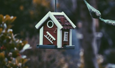 Technical  and Important Terms used in Real Estate