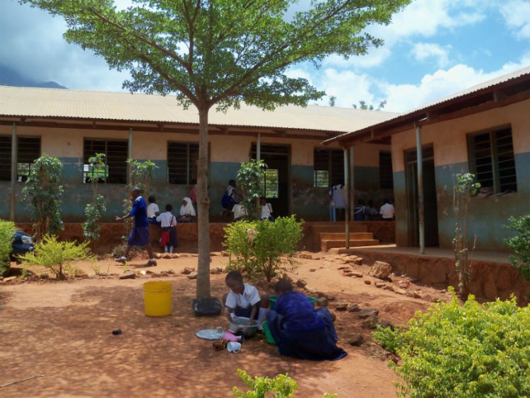 Serikali  ya Tanzania Yaamua Kuongeza Madarasa Katika Shule za Msingi Kusaidia Elimu ya Sekondari  