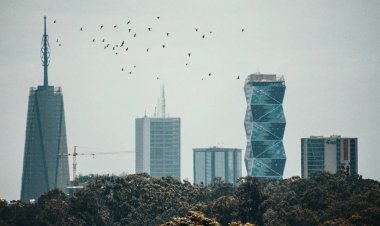 Best Areas for Higher Gains in Office Space and Retail Investments in Nairobi