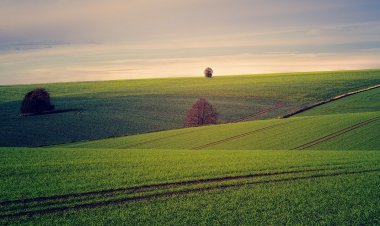 Land Disposition in Tanzania