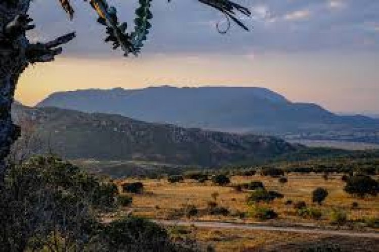 How One Can Acquire Land in Tanzania