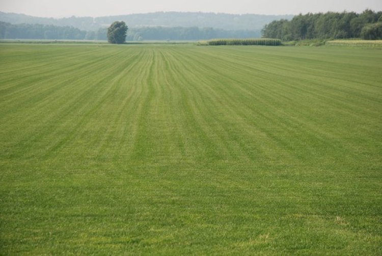 What One Needs to Know About Land Ownership in Ghana