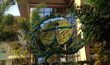 Green Building; a Preserve of Natural Resources