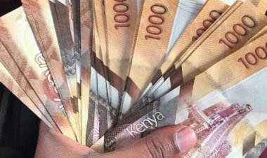 What You Need to Know About a Working Capital Loan