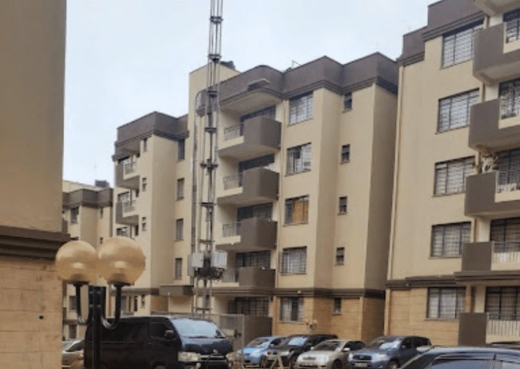 Optimism From Investors Following the Hit from Covid-19