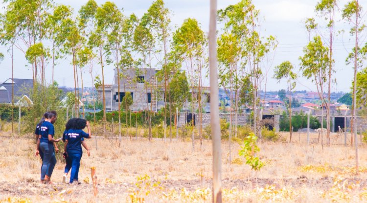 How Fanaka Real Estate Limited is Providing Solutions to Investors