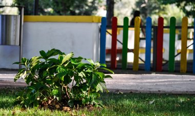 Elements to Consider When Investing in Modern Residential Homes