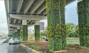 Photos of The Beautified Nairobi ExpressWay