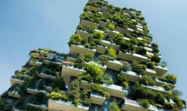 What You Need to Know About Green Buildings For Sustainable Future