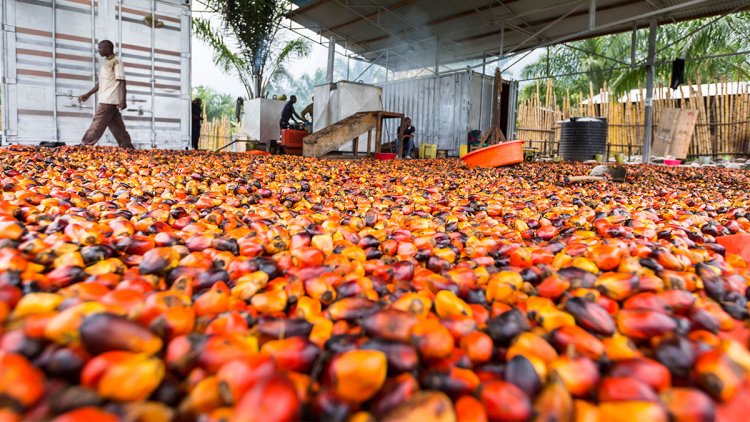 4 Benefits of Using Technology in Real Estate Farming