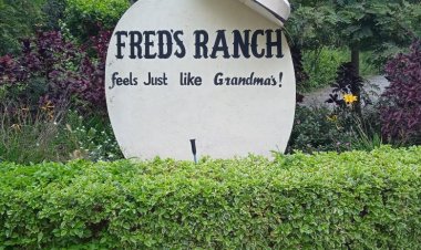 Inside Fred Obachi Machoka's Ranch in Kajiado County