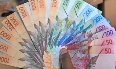 Kenyan Banks Will Start Collapsing Soon