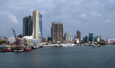 How Tanzanian Government is Promoting Private Sector Investment