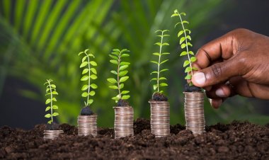 Kenya: Top 5 Money Market Fund Yield in Q1’2023