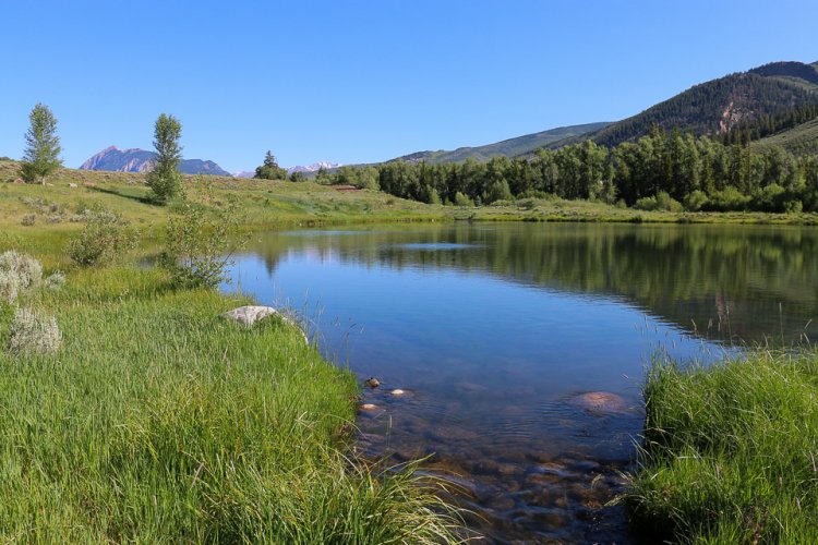 Understanding Water Rights in Real Estate Transactions in Kenya