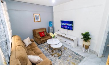 Safety Concerns and Liability Issues in the Airbnb