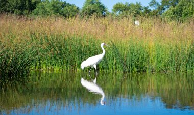 World Wetlands Day 2024    