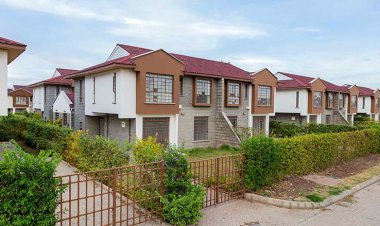 Influence of Urbanization on Real Estate Development in Kenya