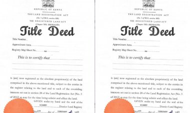 Peace of Mind When Buying: How to Ensure a Clean Property Title